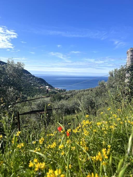 Olivetta House Holiday Moneglia Exterior photo